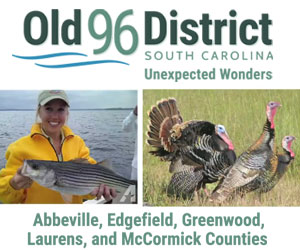 Old 96 District of SC