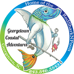 Georgetown Coastal Adventures