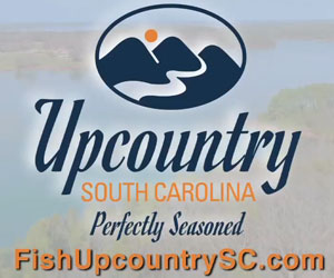 Upcountry South Carolina
