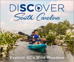 Discover South Carolina, Explore SC's Wild Wonders